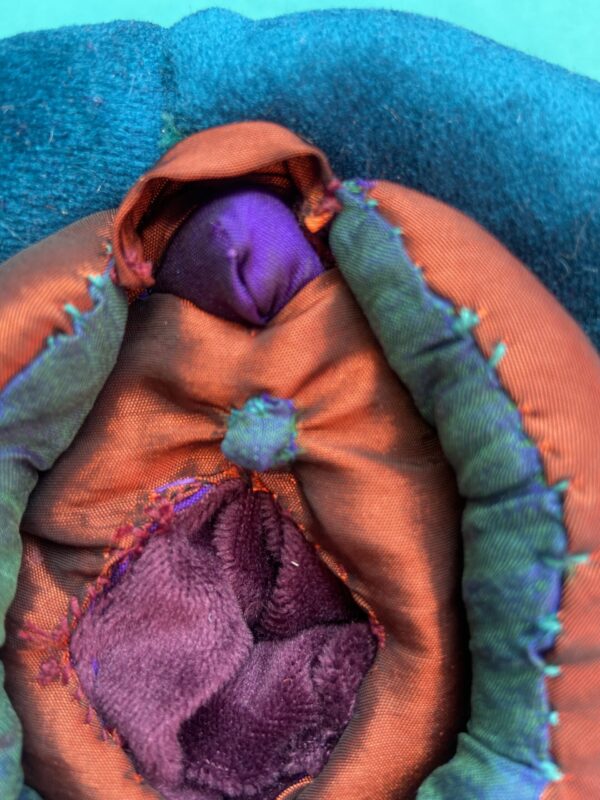 Vulva de Tela