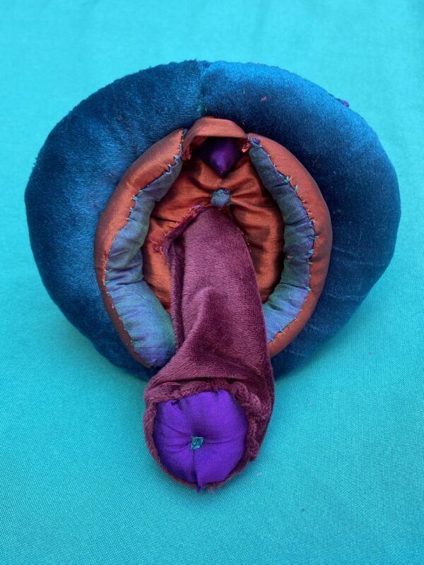 Vulva de Tela