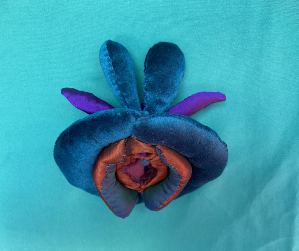 Vulva de Tela
