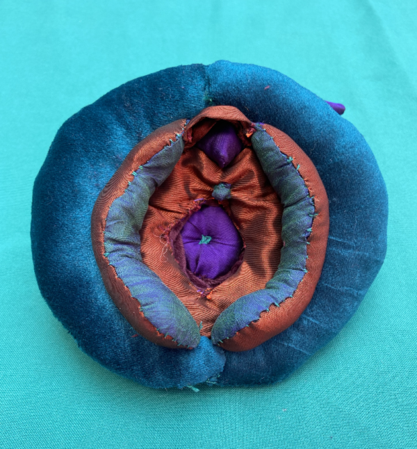Vulva de Tela