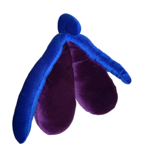 CLITORIS