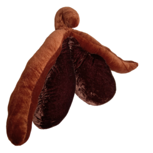 CLITORIS V.2